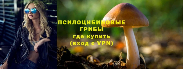 стафф Алзамай