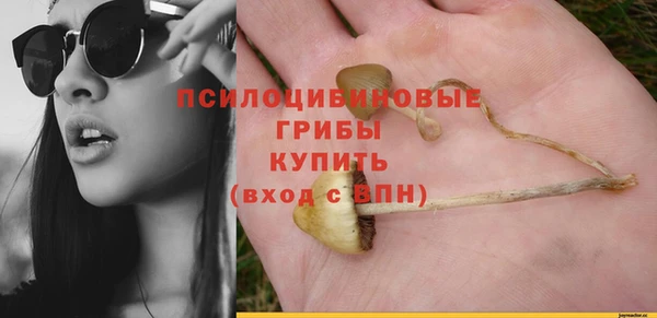 стафф Алзамай
