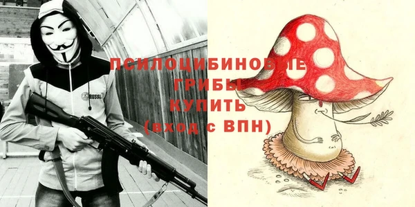 стафф Алзамай