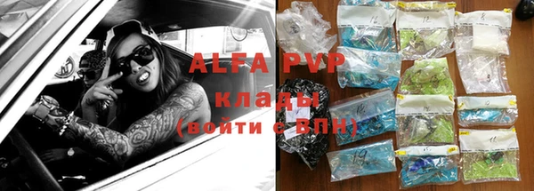 стафф Алзамай
