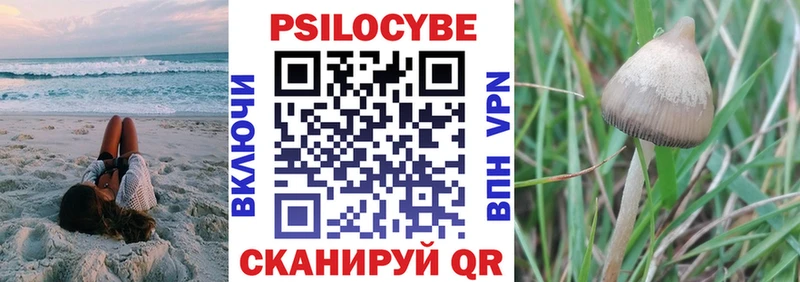 хочу наркоту Армянск мега ссылки Галлюциногенные грибы мухоморы