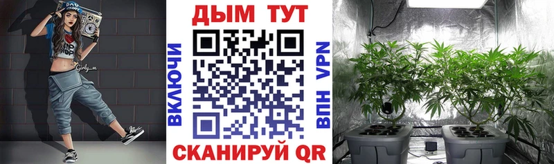 Канабис гибрид  Армянск 